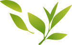 green-tea