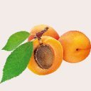 benefity_merunkovy-olej benefity_merunkovy-olej