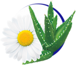 Aloe vera a heřmánek Aloe vera a heřmánek