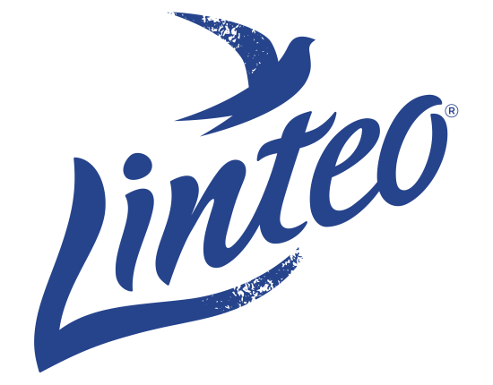 linteo-1-1