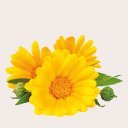 benefity_mesicek benefity_mesicek