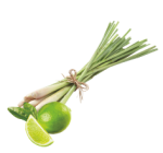 Limette - Zitronenrinde Limette - Zitronenrinde